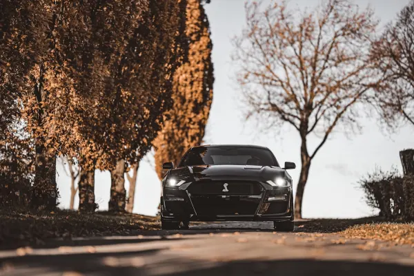 سوبر نوبي كازينو تطبيق أندرويد/آي أو إس